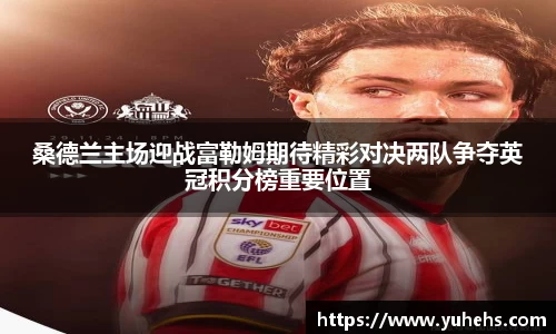 桑德兰主场迎战富勒姆期待精彩对决两队争夺英冠积分榜重要位置